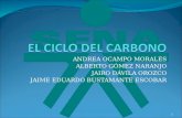 PRESENTACIÓN CICLO DEL CARBONO (ORIGINAL)