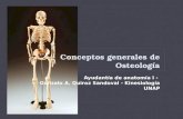 1. Conceptos generales de Osteología