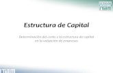 1. Estructura de Capital - Parte 2