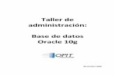 Taller de administración de Base de datos Oracle 10g