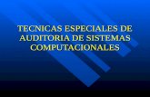 3043413 Tecnicas Especiales de Auditoria de Sistemas Computacionales