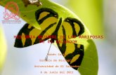 Historia Natural de Las Mariposas de El Salvador