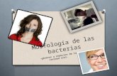 Morfología de las bacterias