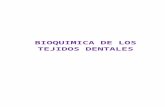 Esmalte Dental[1]22