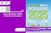 Edomex 10 Estrategias Movilidad Ctsmexico Itdpmexico Poderdelconsumidor