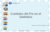 Educacion Pie Diabetico Ppt