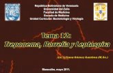 TEMA 12 Treponema Borrelia y Leptospira