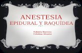 Anestesia Epidural y Raquidea