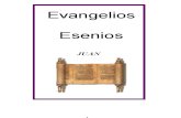 Evangelio Esenio de Juan