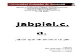 Proyecto de Jabon ( Jabpiel, c.a. )