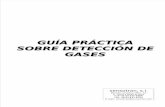 Guia Practica Deteccion Gases