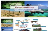 Ecosistemas Cadena Trofica Ciclo Biogeoquimico 2011