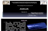 AGUA Expo Corregida[1][1]