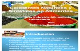 Química de la Industria Alimentaria Laboratorio diapositivas2