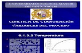 5. Cinética y Variables del Proceso de Cianuración