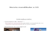 Nervio Mandibular o V3