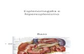 Esplenomegalia e hiperesplenismo