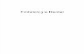 Embriologia Dental