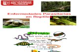 Enfermedades Paras It Arias en Reptiles