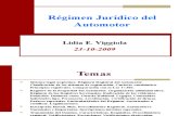 21397721 Regimen Juridico Automotor 2009 UBA