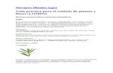 Navarro Montes Agro_ Plantas Ornament Ales Sumario