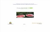 Manual Cultivo Sandia Melon