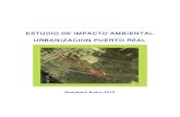 Estudio de Impacto Ambiental Urbanizacion Puerto Real