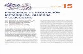 Pricipios de regulación metabólica- glucosa y glucogeno