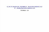 CATABOLISMO (aerobio y anaerobio)