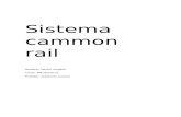 Sistema cammon raill (1)