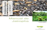 FACT Jatropha Handbook - Espanol[1]