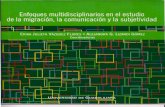 2010 Migración, comunicación y subjetividades U de G