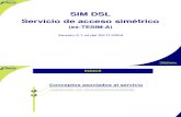Accesos simétricos (SIM.DSL y G.punto)