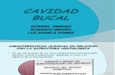 CAVIDAD BUCAL histologia