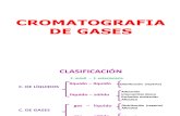 Cromatografia de Gases (17) 2010