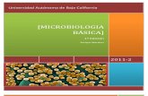 Microbiologia Basica- 1ed