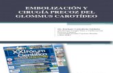 Dr. Enrique Castañeda EMBOLIZACIÓN Y CIRUGÍA PRECOZ DEL GLOMMUS CAROTÍDEO