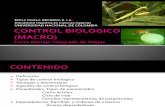 Control Biologico (Macro)