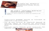 EXPO  FISIOLOGÍA DEL APARATO GASTROINTESTINAL EN EL RN