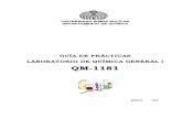 Guía de Laboratorio QM1181 - 2011