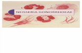 EXPO Nº10 (neisseria gonorrhoeae)