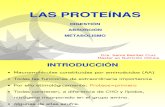 CLASE N° 4 DIGESTIÓN, ABSORCIÓN Y METABOLISMO DE LAS PROTEÍNAS