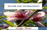 Flor de Durazno Hugo Wast
