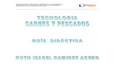 G_ Tecnologia de Carnicos