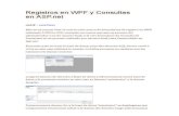 Registros en WPF y Consultas En