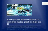 Carpeta de Lab Oratorio (Patologica II) - Copia