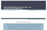 Neurobiologia de La Esquizofrenia[1]