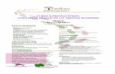 Dossier Informativo Equinoterapia