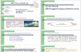 ciclos biogeoquímicos - completo