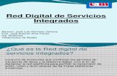 Red Digital de Servicios Integrados-jose Luis Ramirez Zamora